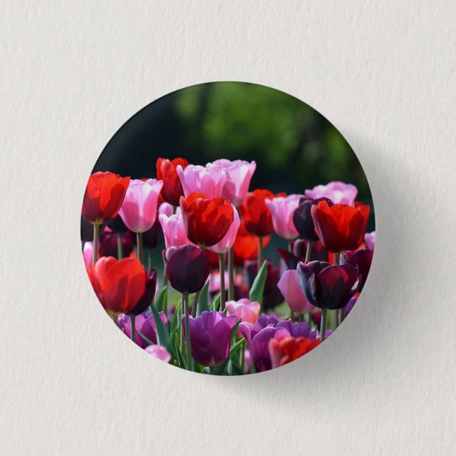 Tulip Flowers Badge / Button (Front)