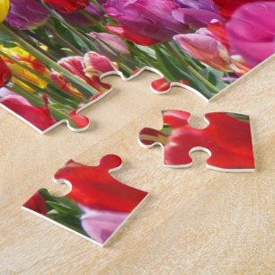 Tulip Flowers Festival puzzles Spring Gardens