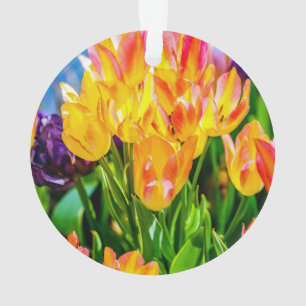 Tulip Flowers - Flourish Ornament