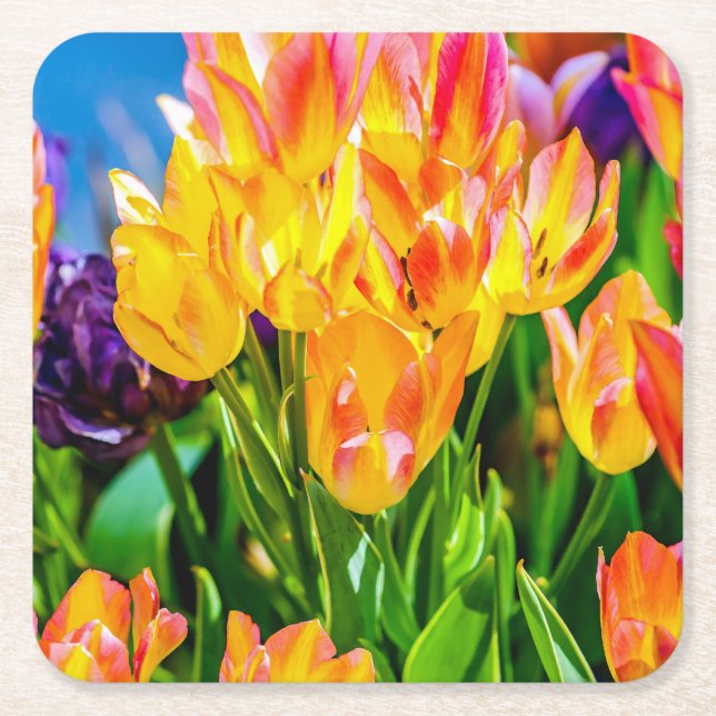 Tulip Flowers - Flourish Square Paper Coaster (Front)