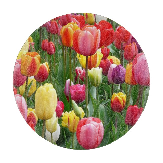 Tulip Flowers Garden-52126 Cutting Board (Front)