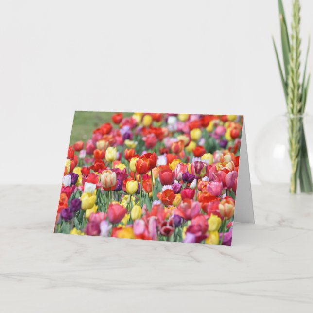 Tulip Flowers Greeting Card (Front)