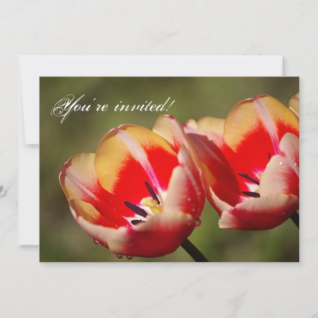 Tulip Flowers Invitation (Front)