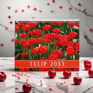Tulip Flowers Photography Red Colourful Roses 2025 Calendar