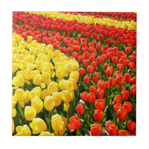 Tulip garden ceramic tile