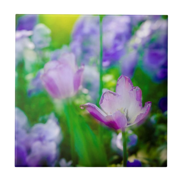 Tulip garden, Giverny, France Ceramic Tile (Front)