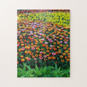 Tulip Garden Jigsaw Puzzle