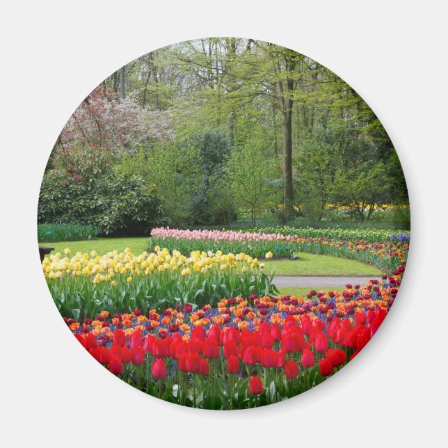 Tulip Garden Magnet (Front)