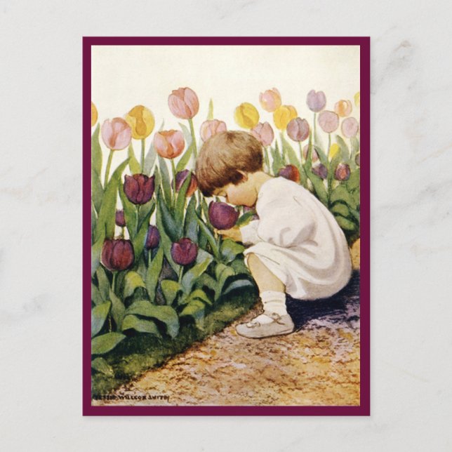 Tulip Garden Postcard (Front)