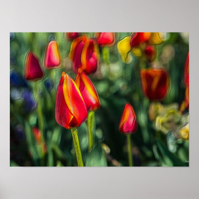 Tulip Garden Textured Poster (Front)