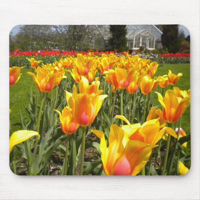 Tulip Gardens Mouse Pad (Front)