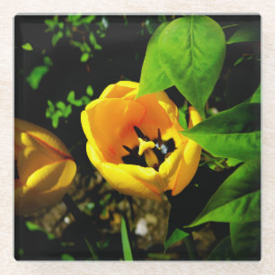 Tulip glass coaster
