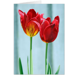 Tulip Greeting Card