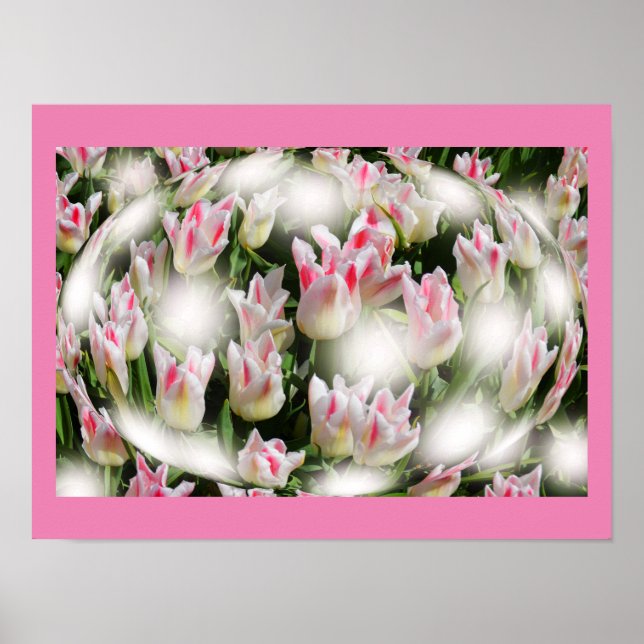 Tulip inspirations poster (Front)