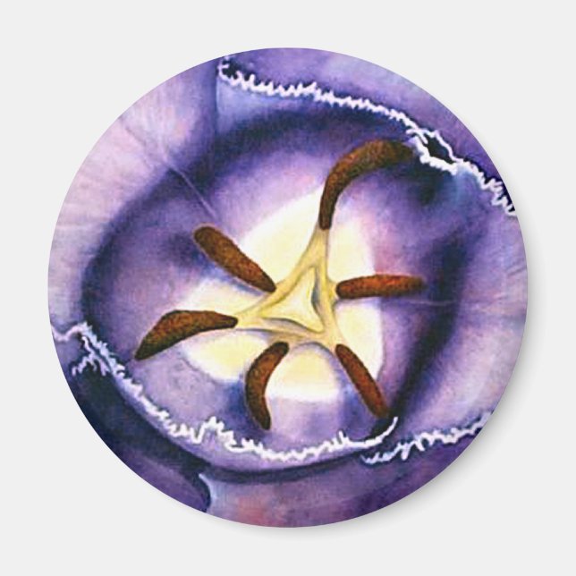 Tulip Interior magnet (Front)