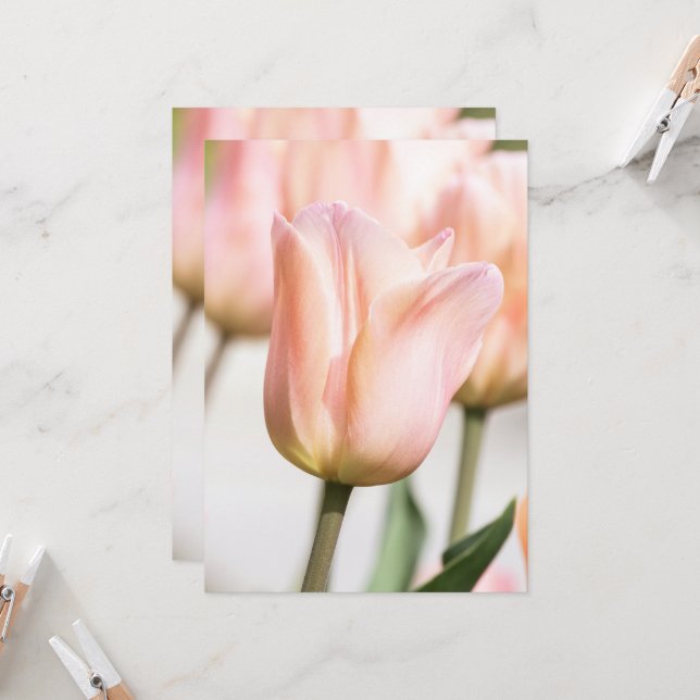 TULIP  INVITATION (Front/Back In Situ)