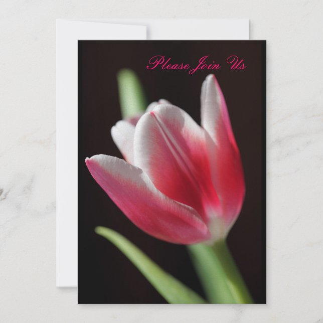 Tulip Invitation (Front)