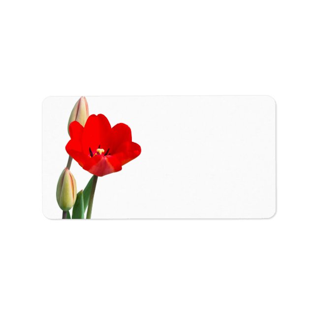 Tulip Label (Front)