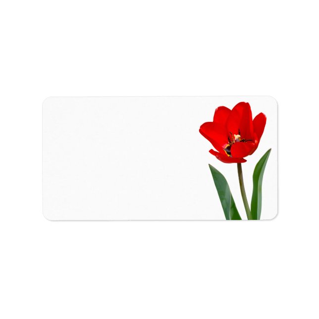 Tulip Label (Front)