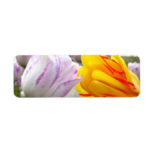 Tulip Love Return Address Label