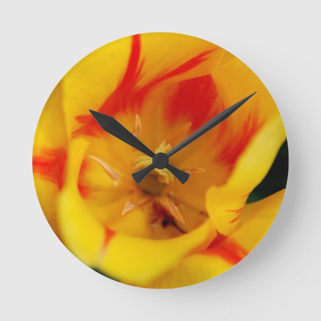 tulip macro round clock (Front)