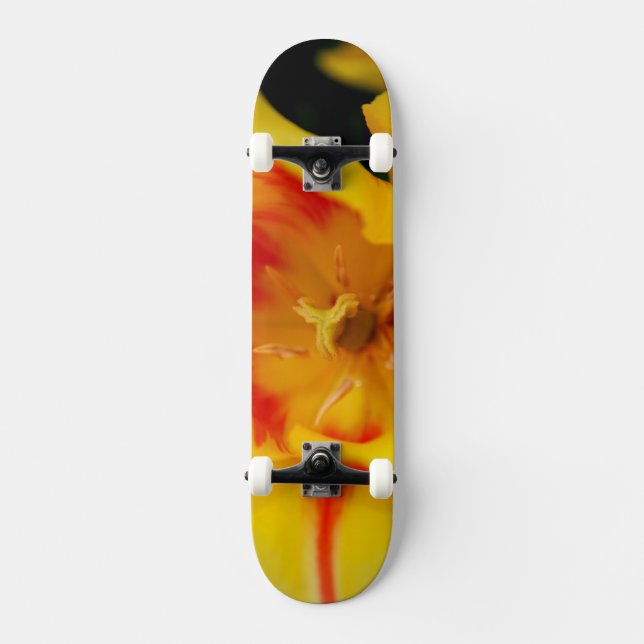 tulip macro skateboard (Front)