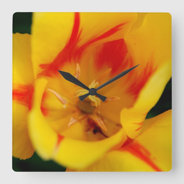 tulip macro square wall clock (Front)