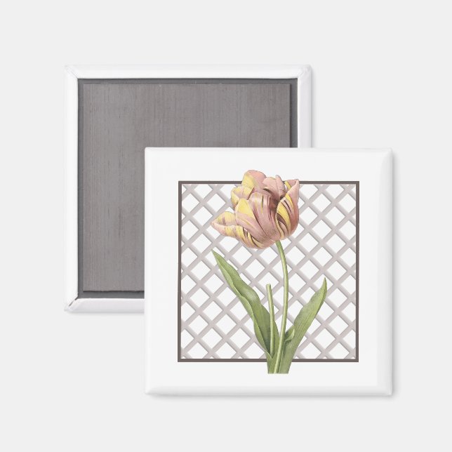 TULIP MAGNET (Front/Back)