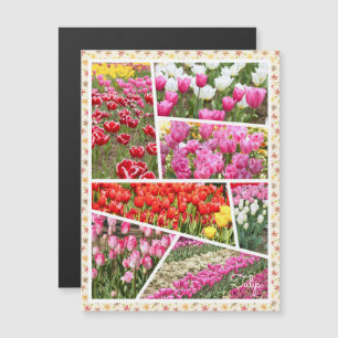 Tulip [Magnet Card]