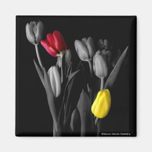 Tulip-Magnet Magnet