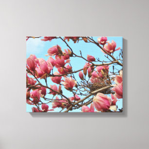Tulip Magnolia tree with Birdsnest on Canvas Print