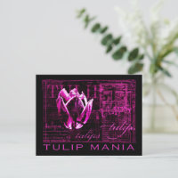 Tulip Mania