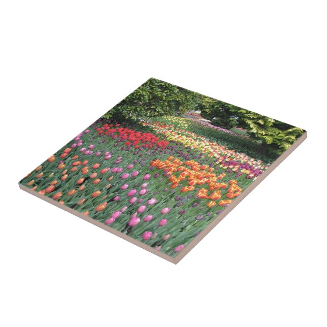 TULIP MEADOW CERAMIC TILE (Side)