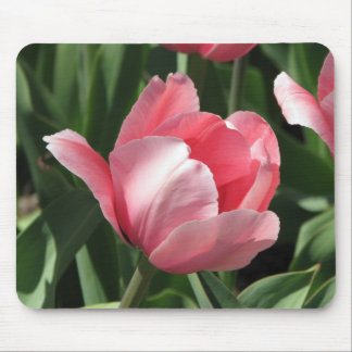 Tulip Mouse Pad