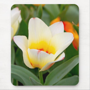 Tulip Mouse Pad