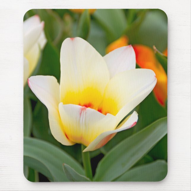 Tulip Mouse Pad (Front)