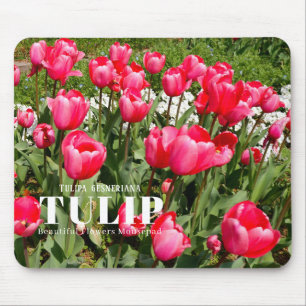 Tulip Mouse Pad