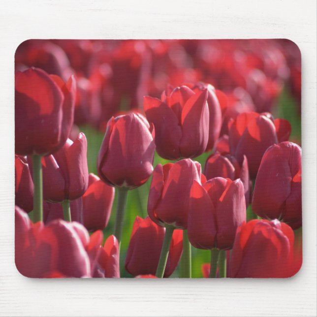 Tulip Mousepad (Front)