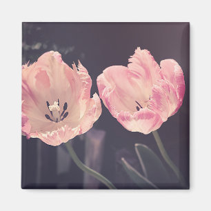 Tulip Nature Photo Magnet