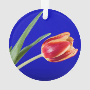 Tulip on blue background ornament