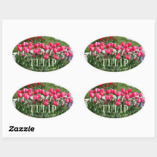 Tulip Oval Sticker