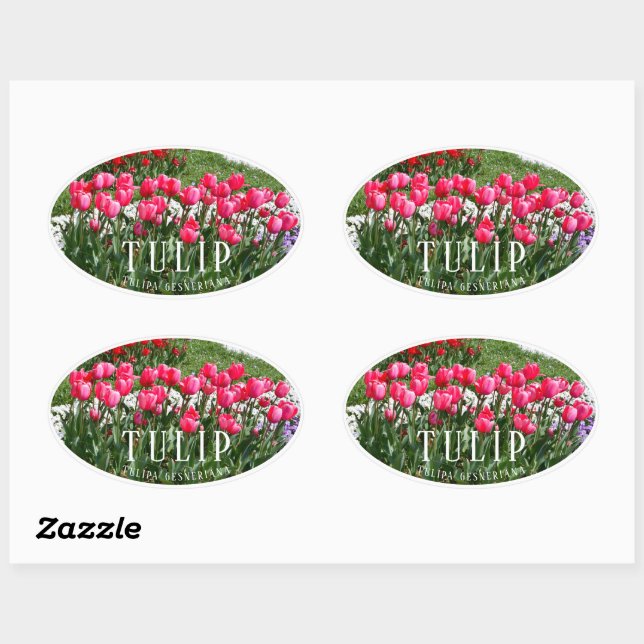 Tulip Oval Sticker (Sheet)