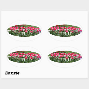 Tulip Oval Sticker
