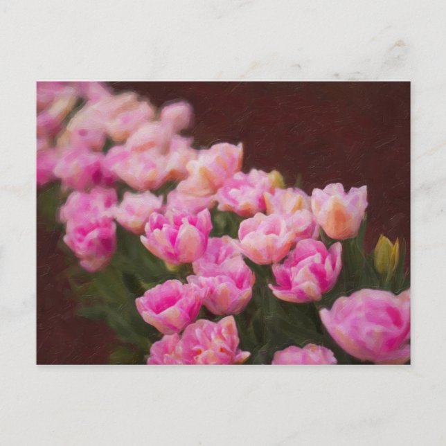 Tulip Painting Postcard (Front)
