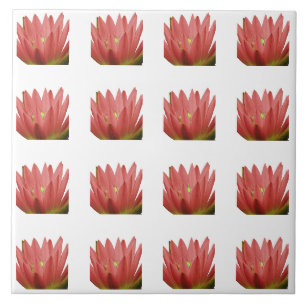 Tulip Pattern Ceramic Tile