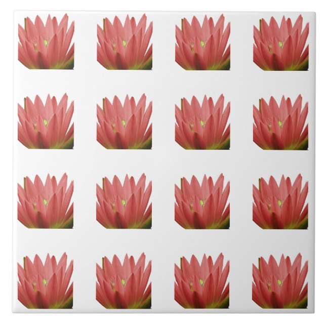 Tulip Pattern Ceramic Tile (Front)