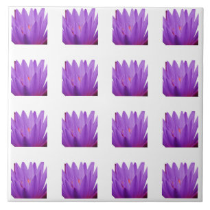 Tulip Pattern Ceramic Tile