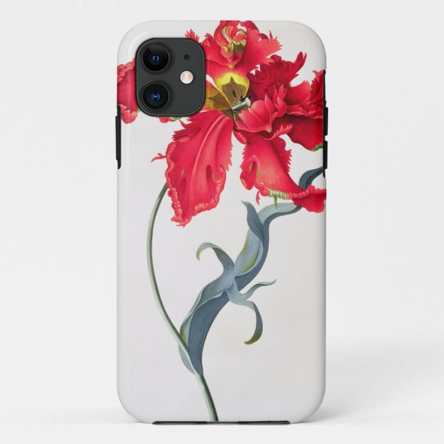 Tulip: Perroquet Rouge Case-Mate iPhone Case (Back)