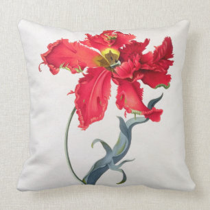 Tulip: Perroquet Rouge Cushion
