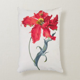 Tulip: Perroquet Rouge Decorative Cushion